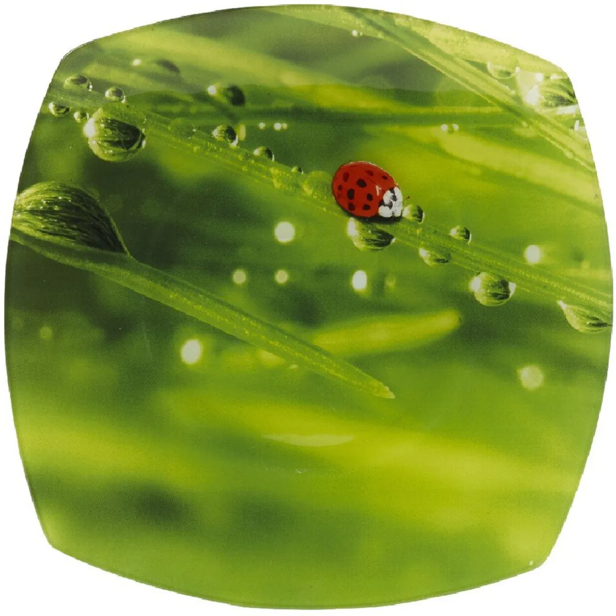 Assiette plate carrée verte design coccinelle