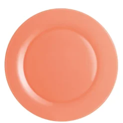 Assiette plate corail