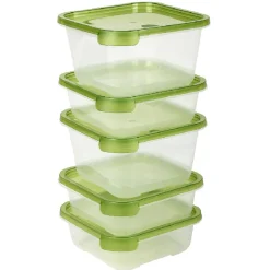 Boîte alimentaire transparente et verte x5