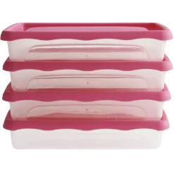 Boîte de conservation alimentaire 0,8L x4