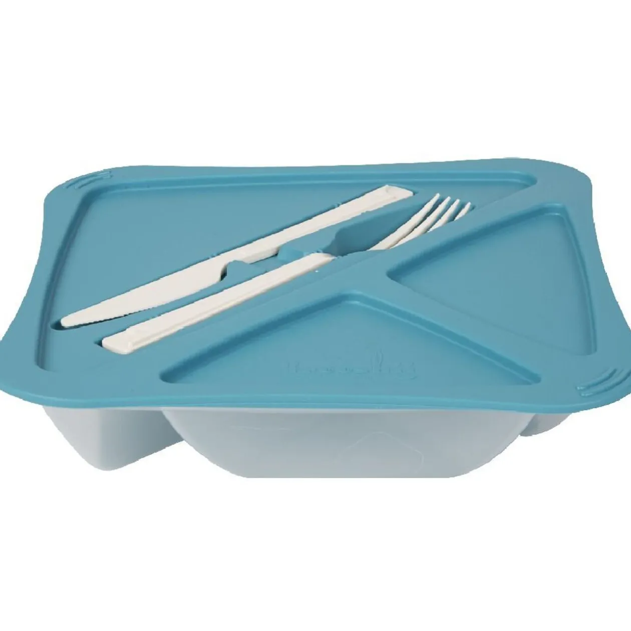 Boîte lunch bleu ou vert