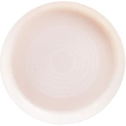 Lot de 6 assiettes en plastique réutilisable