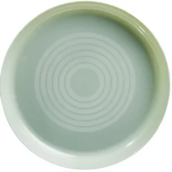 Lot de 6 assiettes en plastique réutilisable