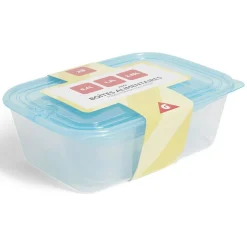 Lot de 3 boîtes de conservation alimentaire en plastique