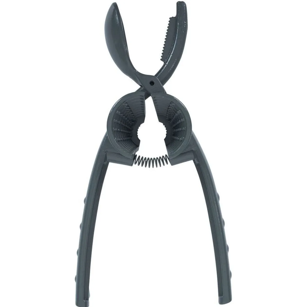 Pince à chataigne et casse-noix 2 en 1 en métal