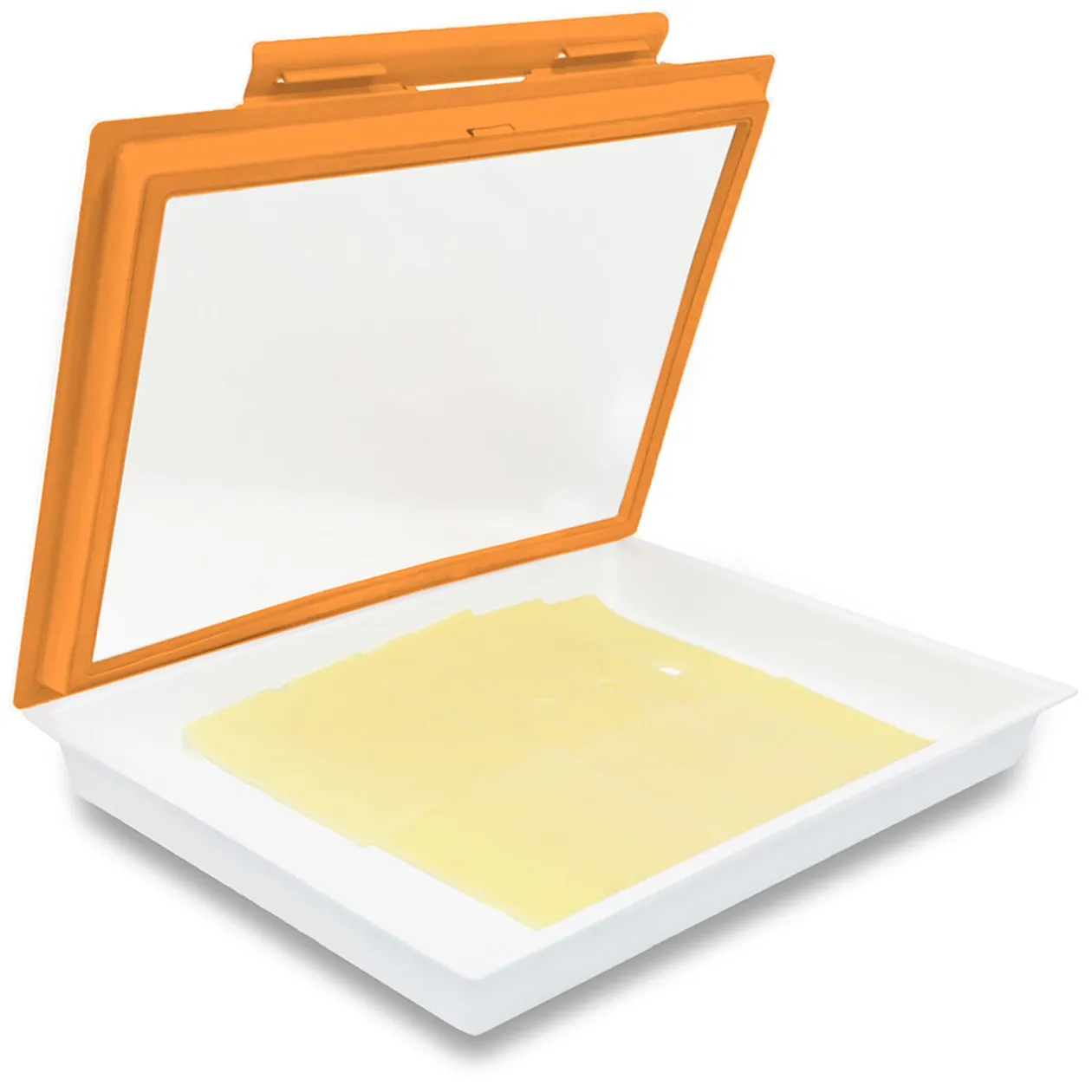 Plateau de conservation x 2