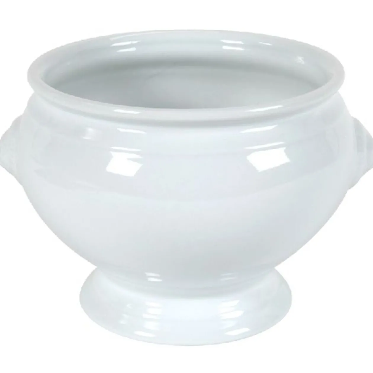 Soupière tête de lion porcelaine