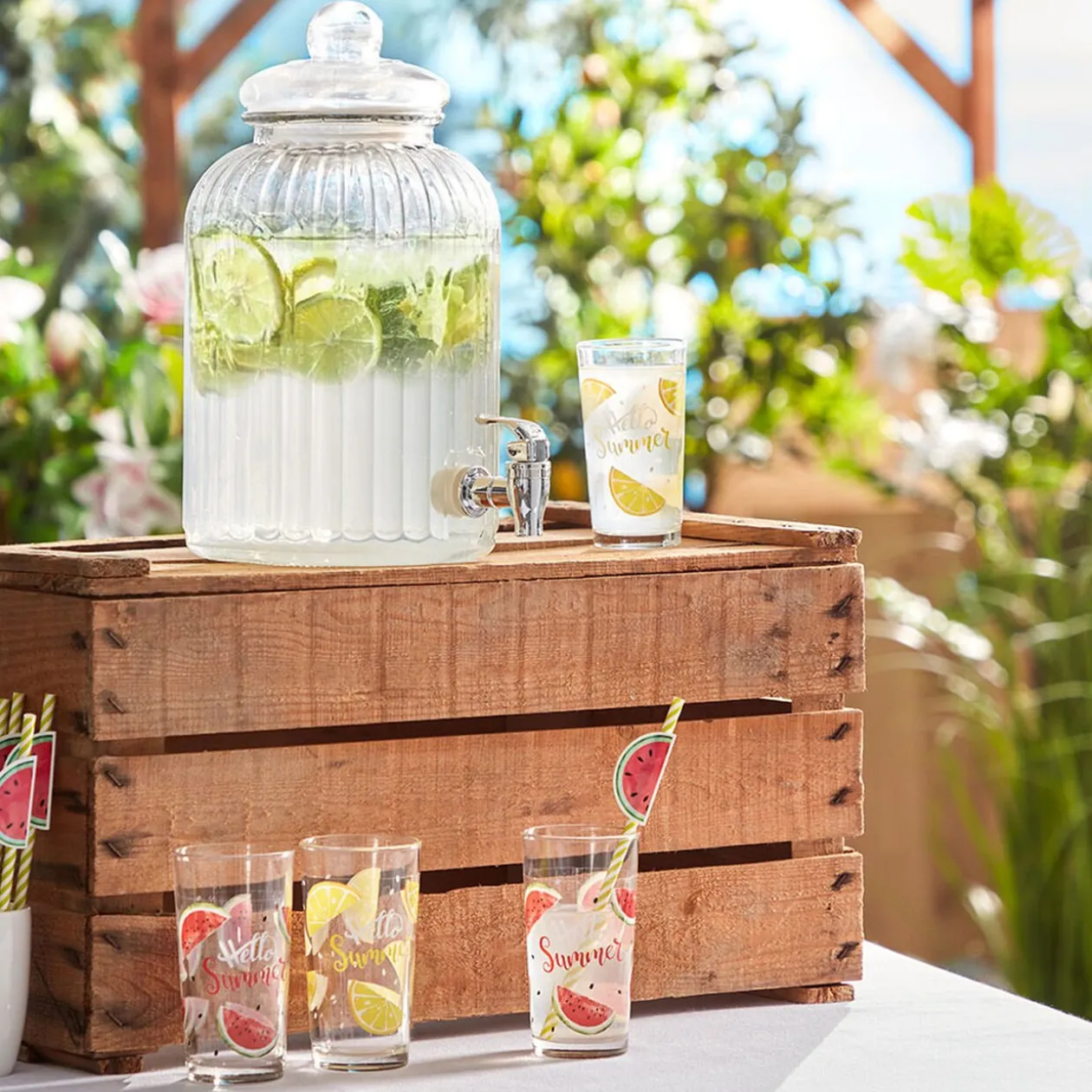 Verre haut pastèque Hello Summer x 6